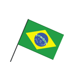 Braziliaans vlaggetje Brazilie versiering Bellatio