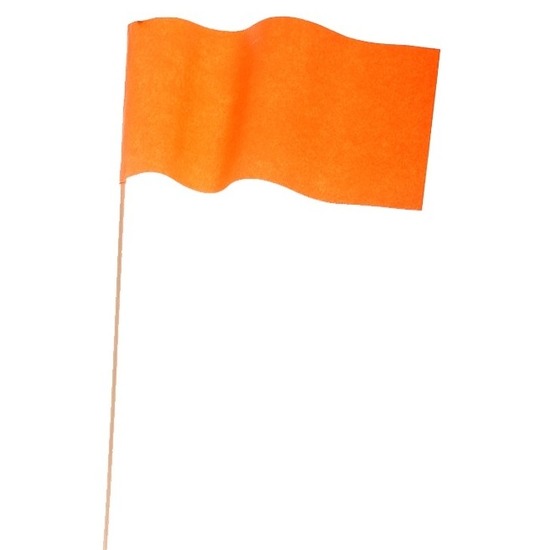 20x Oranje papieren zwaaivlaggetjes 23 cm