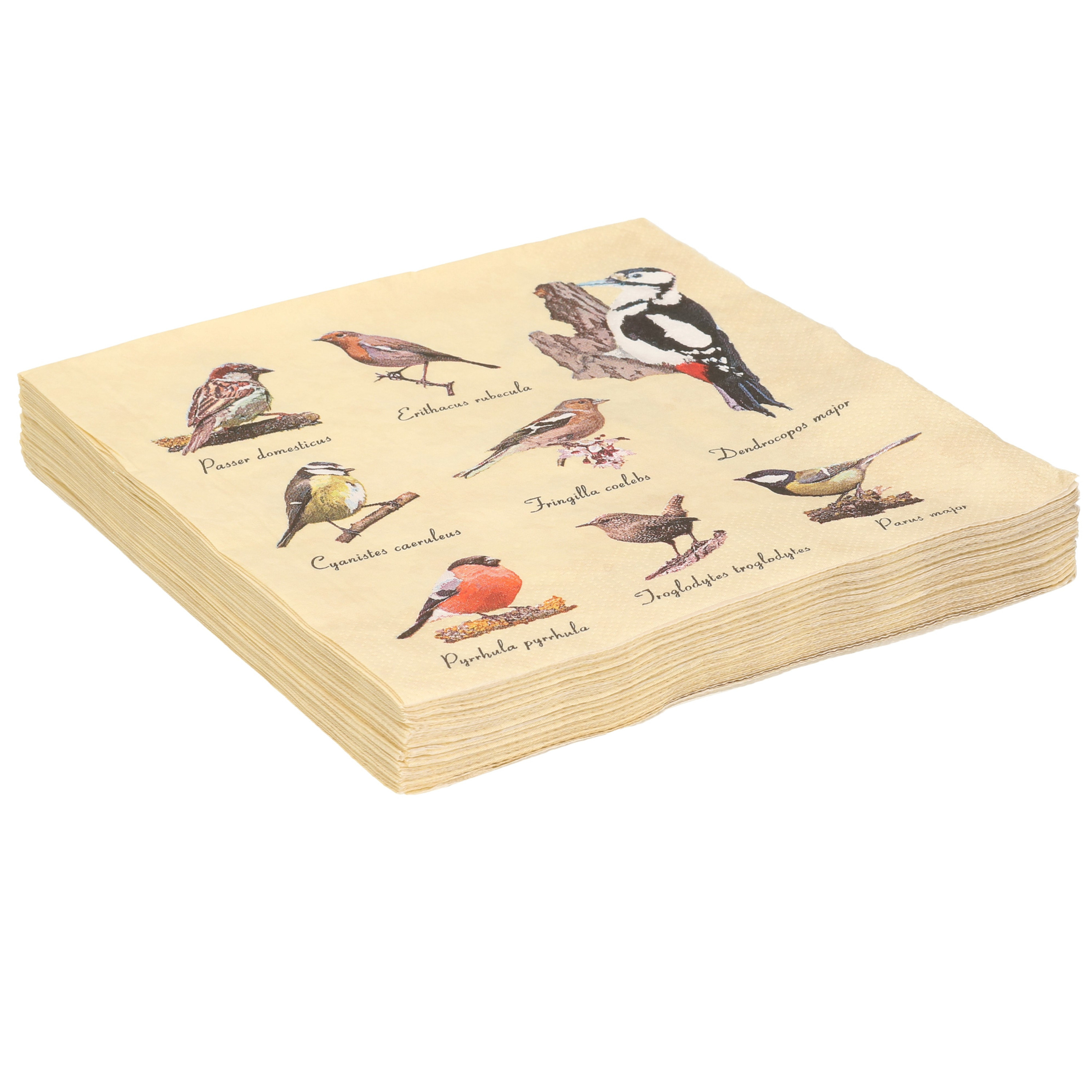 20x Papieren servetten met vogels print 33 x 33 cm