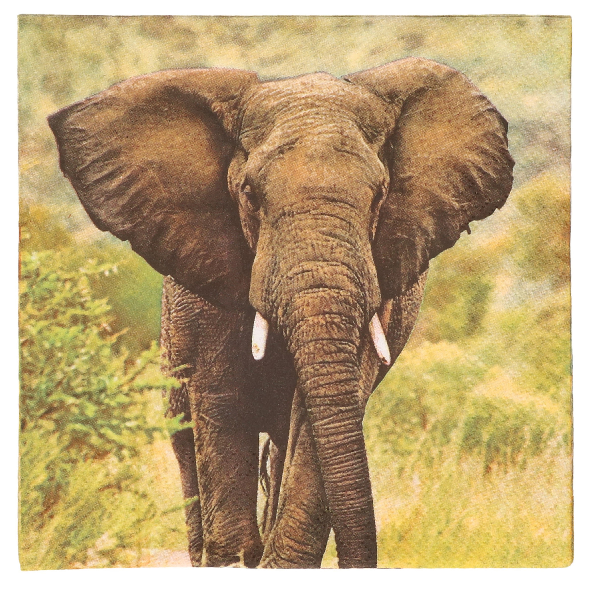20x Safari thema servetten met olifant print 33 x 33 cm