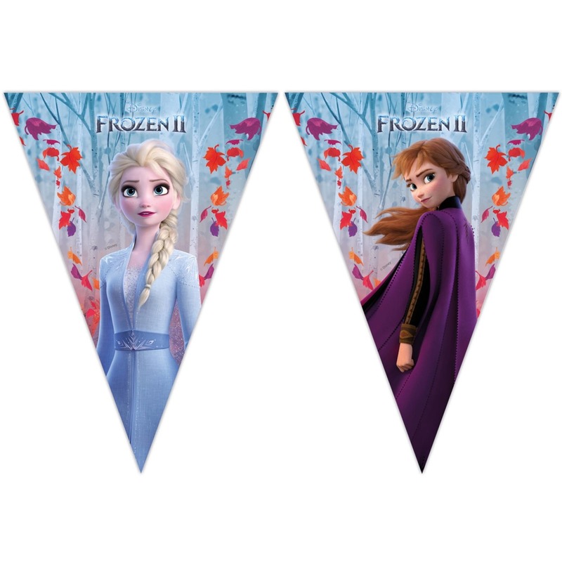 2x Disney Frozen 2 vlaggenlijnen 2 meter