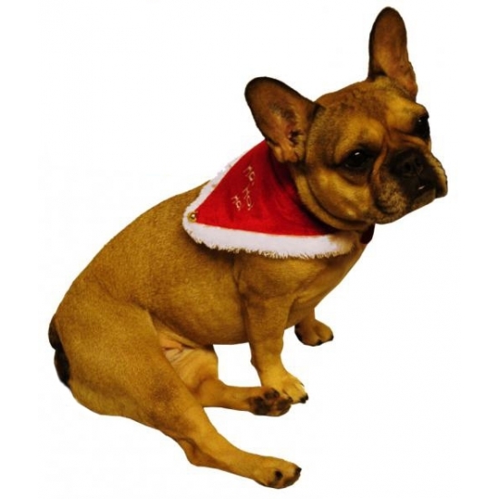 Kerst sjaal halsband rood voor hond of kat