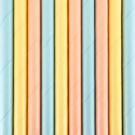 Drinkrietjes - papier - 10x - multi kleuren pastel - 19,5 cm - rietjes