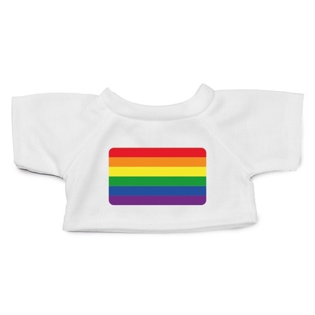 Knuffel teddybeer met Gaypride vlag t-shirt 43 cm 