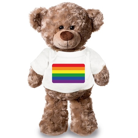 Pluche Gay flag teddybear 43 cm 