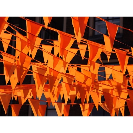 Vlaggenlijn - 20 vlaggetjes - oranje - 10 meter